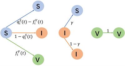 Vaccination strategies in the disease–behavior evolution model